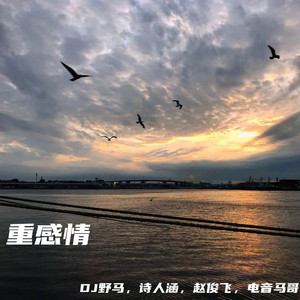 成人午夜在线视频
