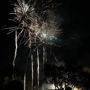 成人午夜在线视频
