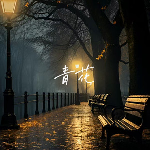 成人午夜在线视频
