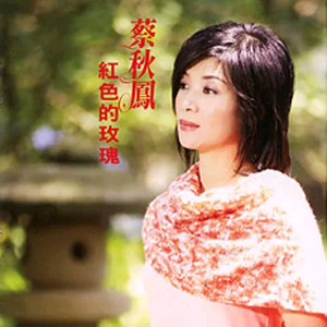 成人午夜在线视频
