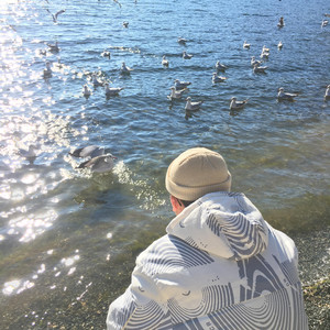 成人午夜在线视频
