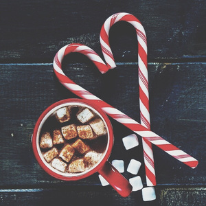 成人午夜在线视频
