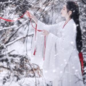 成人午夜在线视频
