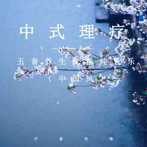 成人午夜在线视频
